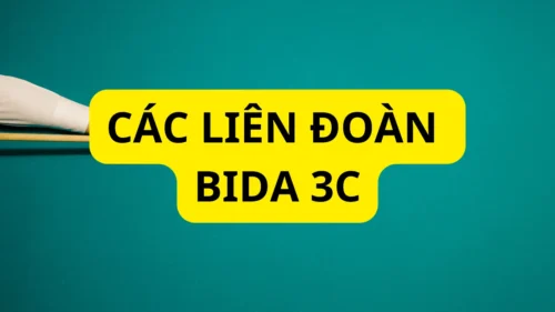 Các liên đoàn bida 3C thế giới và cơ cấu tổ chức các giải đấu